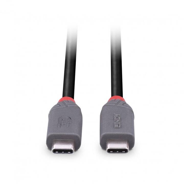 LINDY Câble (USB C, USB de type C, 1.5 m)