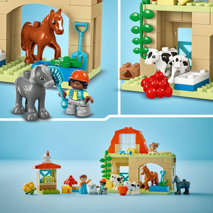 LEGO DUPLO My Town Prendre soin des animaux de la ferme (10416)