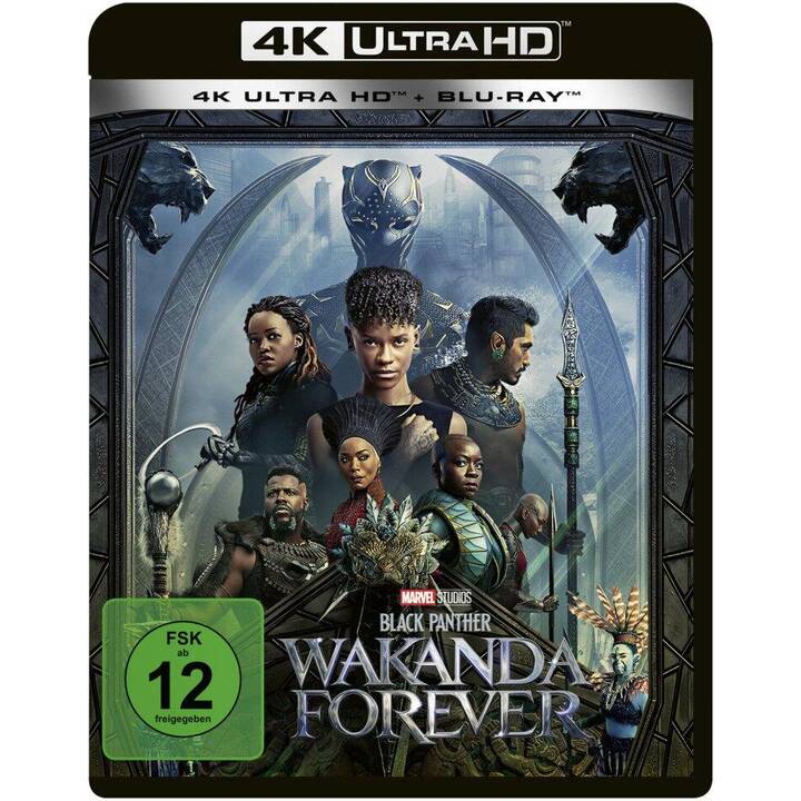 Black Panther: Wakanda Forever - Black Panther 2 (4K Ultra HD, DE, EN)