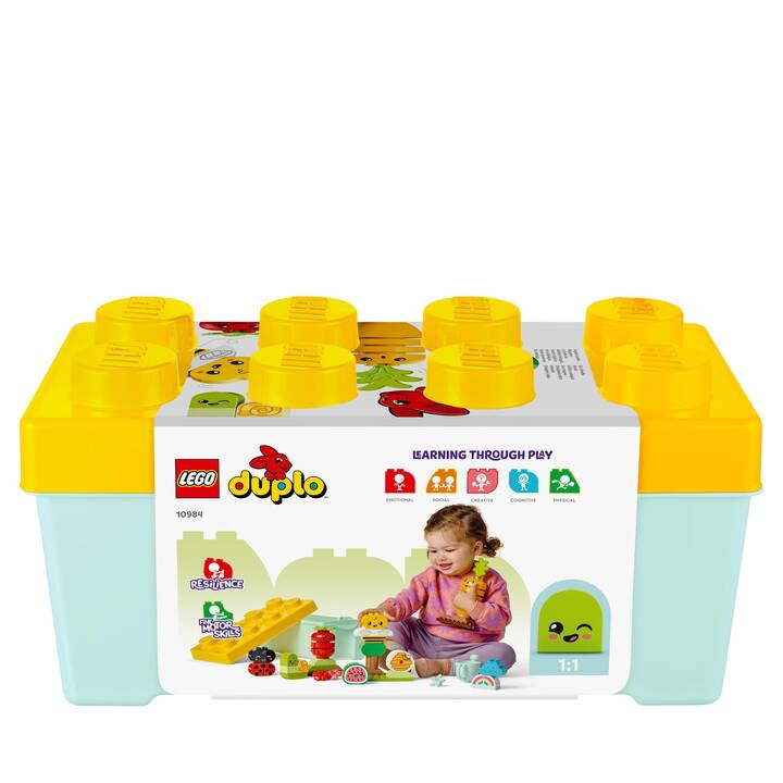 LEGO DUPLO Giardino biologico (10984)