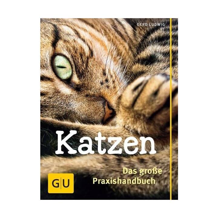 Praxishandbuch Katzen