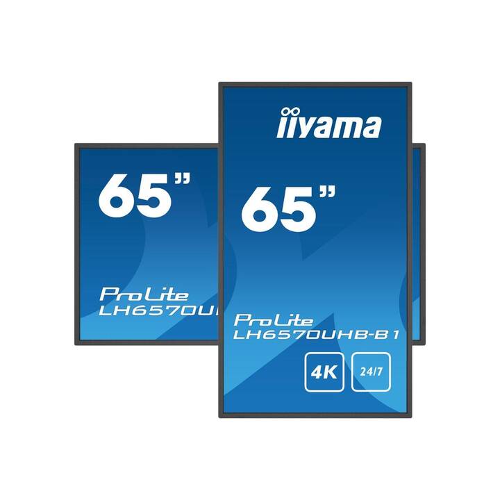 IIYAMA ProLite LH6570UHB-B1 (64.5", LCD)