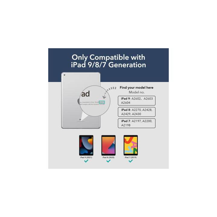 EG coque pour iPad 10.2 9e génération (2021) - transparente - Interdiscount