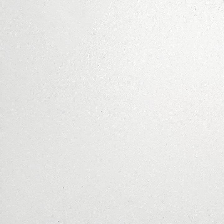TOPSTAR Scrivania (Bianco, 160 cm x 80 cm)
