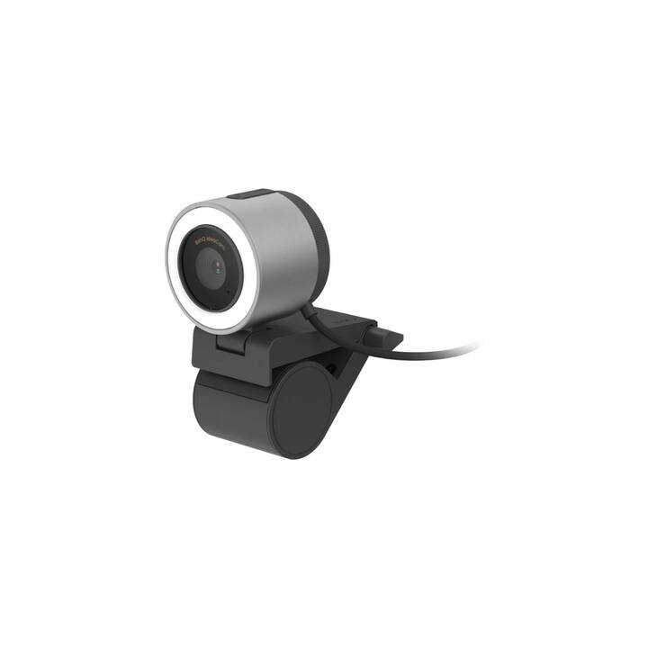 BENQ IdeaCam S1 Plus Webcam (8 MP, Silber, Schwarz)