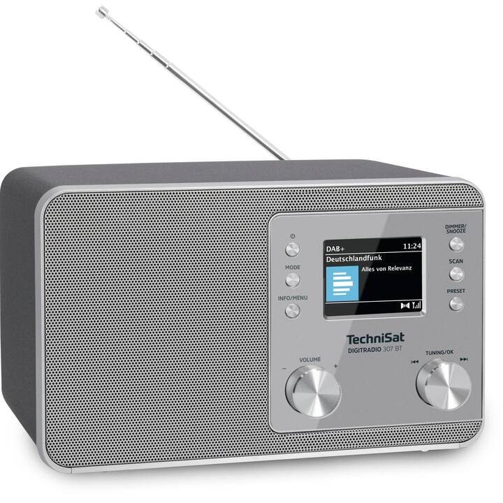 TECHNISAT 307BT Radios numériques (Argent)