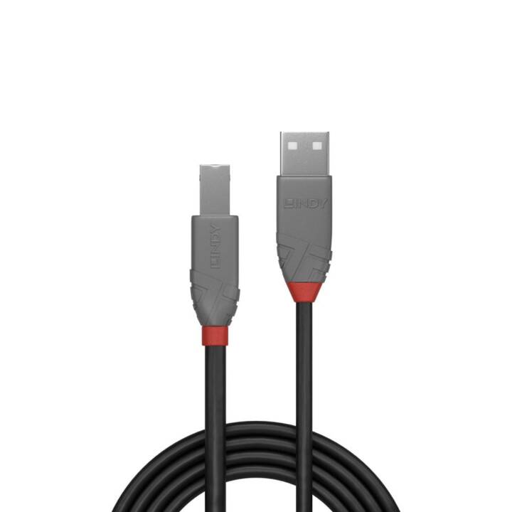 LINDY Cavo USB (USB 2.0 Tipo-B, USB 2.0 Tipo-A, 10 m)