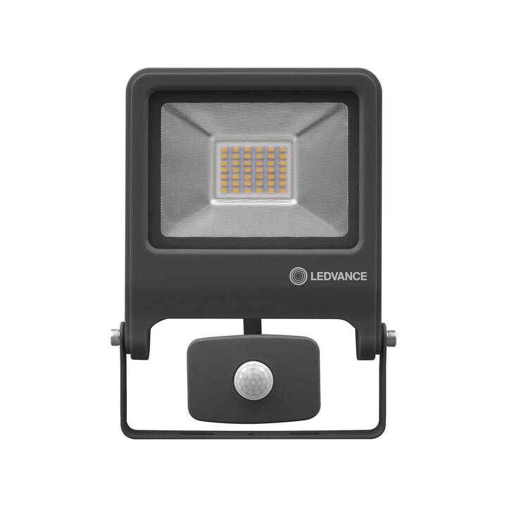 LEDVANCE Projecteur extérieur Endura Flood Sensor (30 W, Gris)