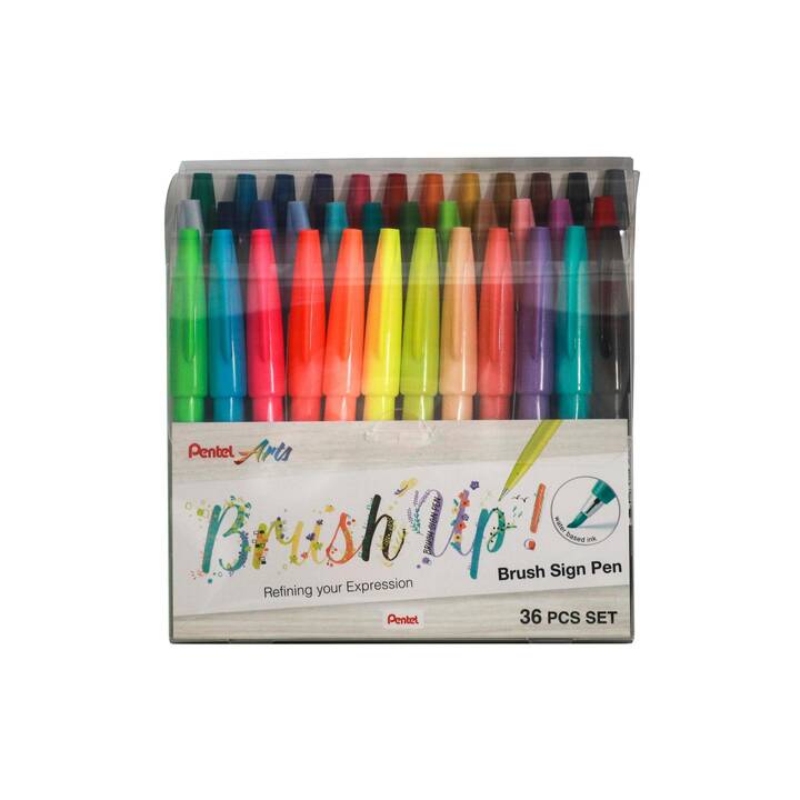 PENTEL Brush Sign Pen Crayon feutre (Multicolore, 36 pièce)