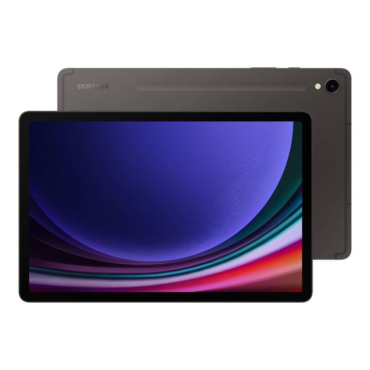 SAMSUNG Galaxy Tab S9 5G Enterprise Edition (11", 128 GB, Grafite)