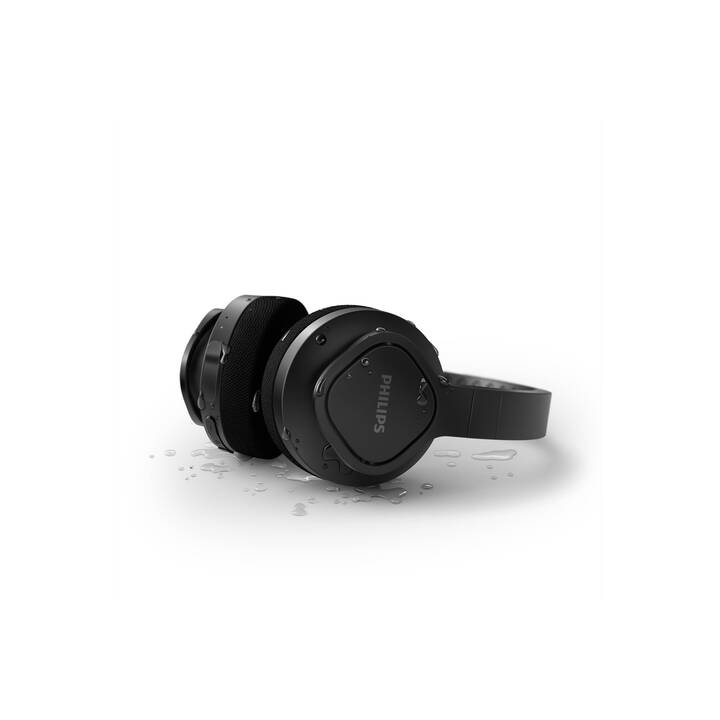 PHILIPS TAA4216BK/00 (On-Ear, Bluetooth 5.0, Schwarz)