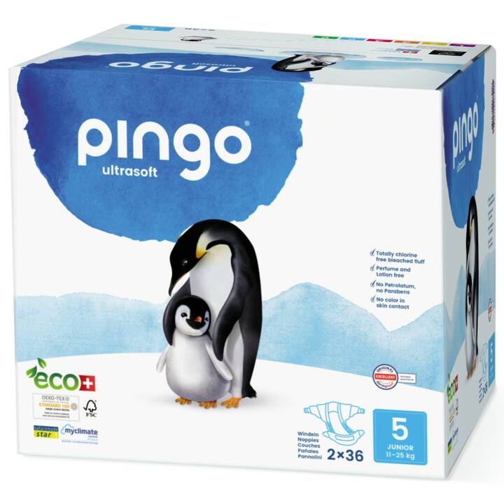 PINGO Eco 5 (36 pièce)