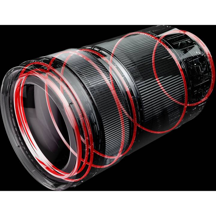 PANASONIC Lumix S 70-300mm F/5.6-22 (L-Mount)