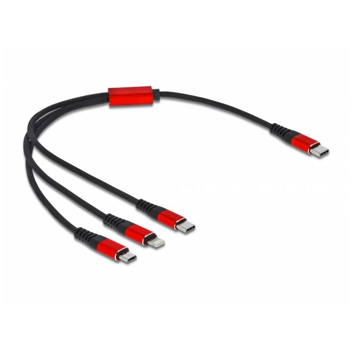 DELOCK USB-Kabel (USB 2.0 Typ-C, Micro USB, Lightning, USB Typ-C, 30 cm)