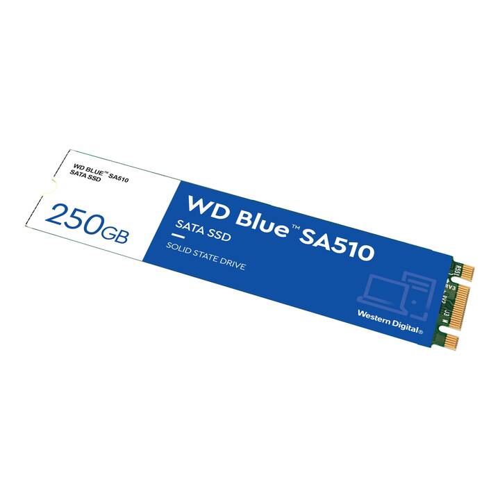 WESTERN DIGITAL SA510 (SATA-III, 250 GB)