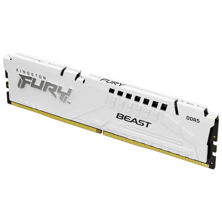 KINGSTON TECHNOLOGY FURY Beast (2 x 32 GB, DDR5 6000 MHz, DIMM 288