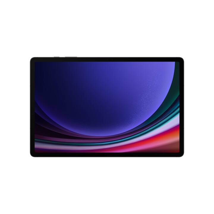 SAMSUNG Galaxy Tab S9+ WiFi (12.4", 256 GB, Grau)