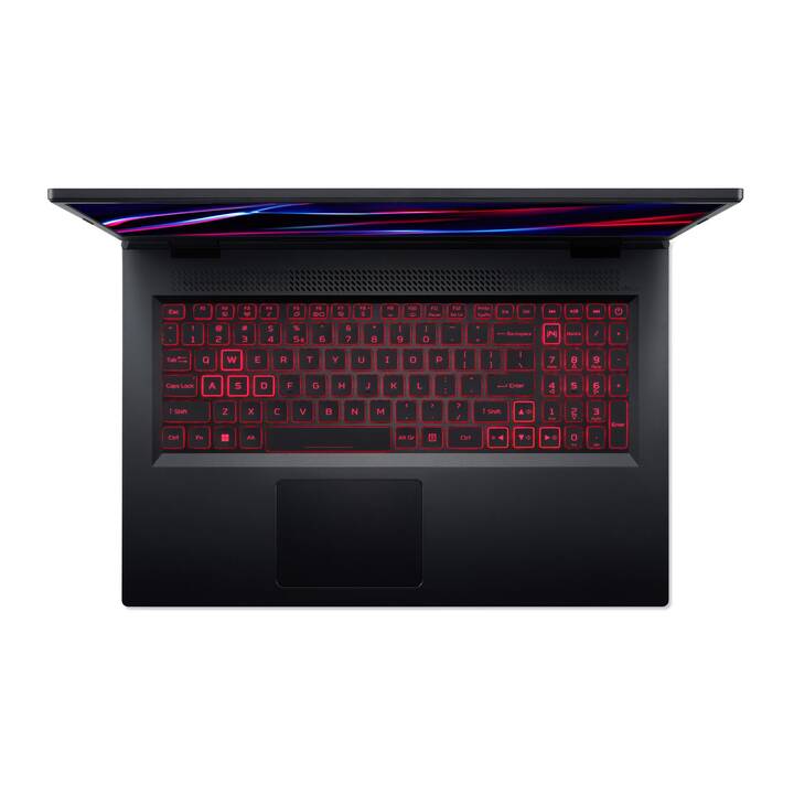 ACER Nitro 5 (AN517-42-R2AG) (17.3", AMD Ryzen 7, 16 GB RAM, 1000 GB SSD)