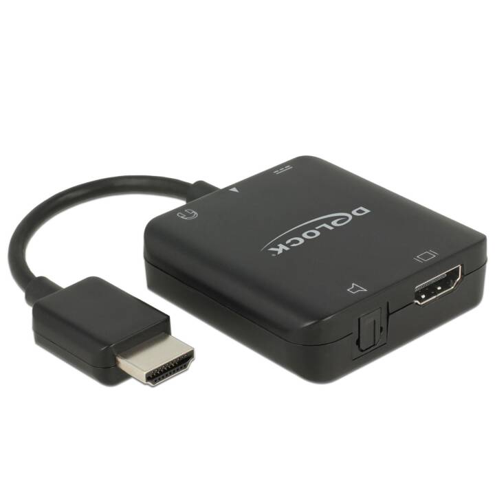 DELOCK Video-Adapter (3.5 mm Klinke, Toslink, HDMI Typ A)