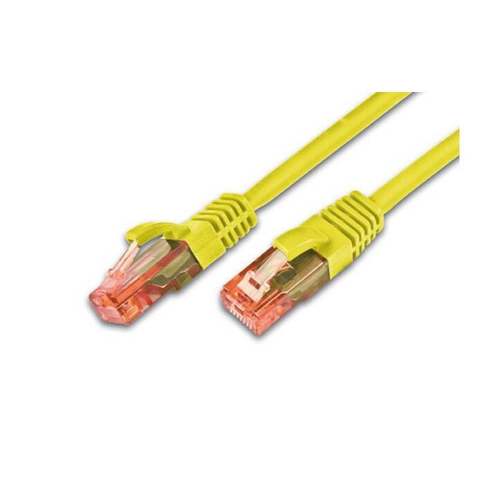 WIREWIN PKW-UTP-KAT6 Câble réseau (RJ-45, RJ-45, 30 m)