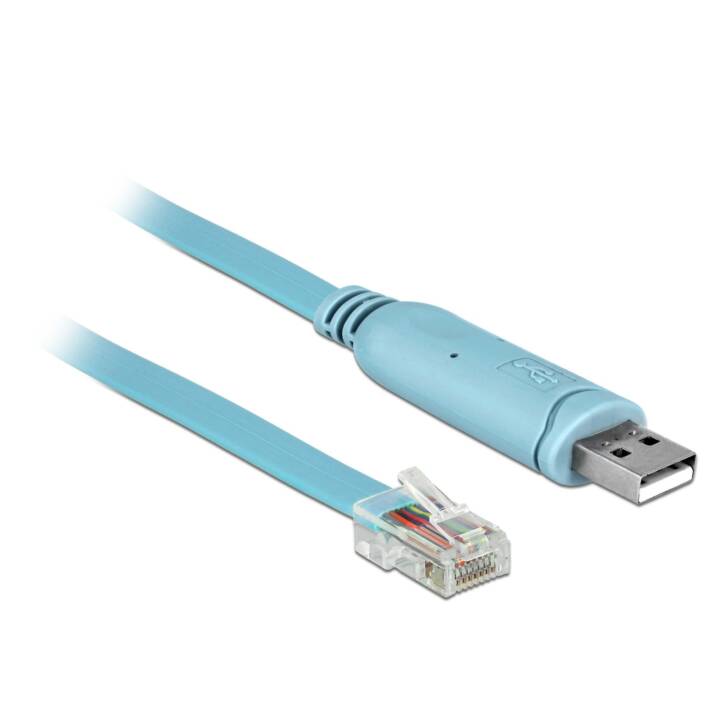 DELOCK Câble de connexion (USB 2.0 Type-A, RJ-45, 3 m)