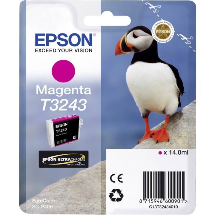 EPSON T3243 (Magenta, 1 pezzo)