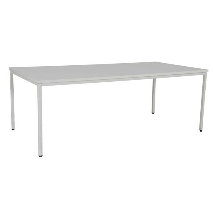 EDGY Bureau (Gris, 200 cm x 100 cm x 75 cm)