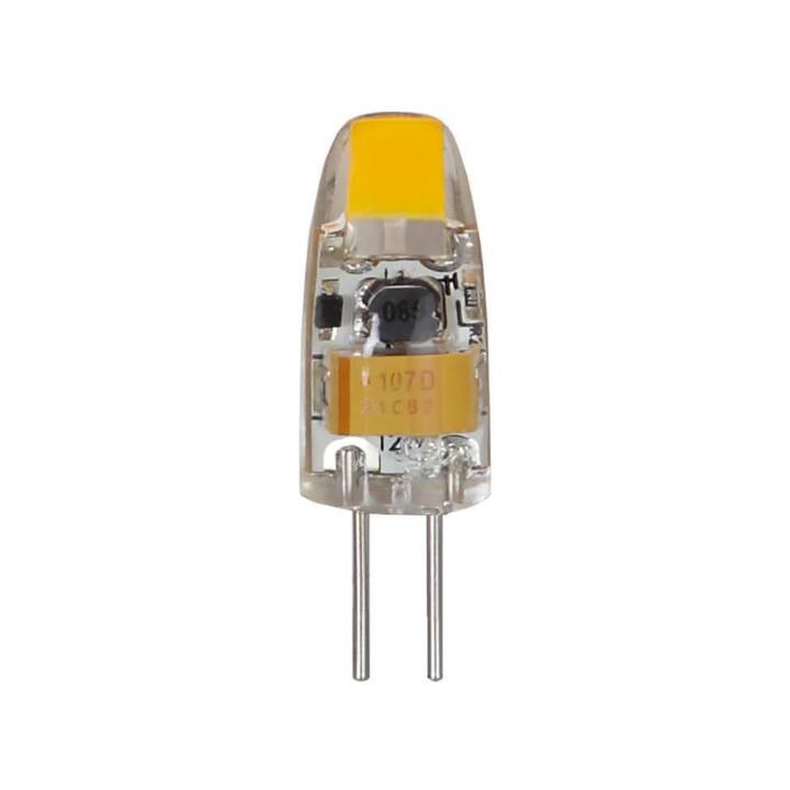 STAR TRADING Ampoule LED (G4, 1.1 W)