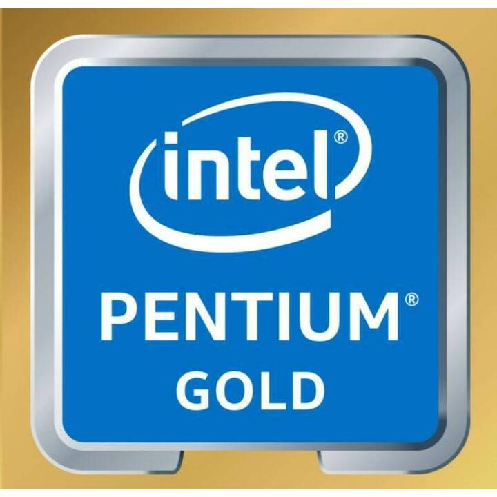 ASUS 90PT03H2-M00FC0 (21.45", Intel Pentium Gold 8505, 8 GB, 256 Go SSD, Intel UHD Graphics)