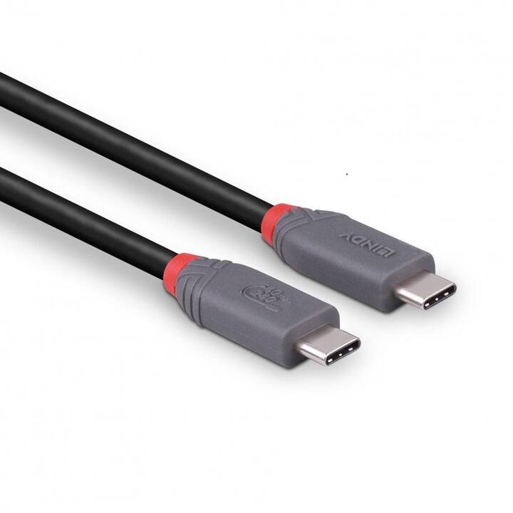 LINDY Câble (USB-C fiche, USB de type C, 2 m)