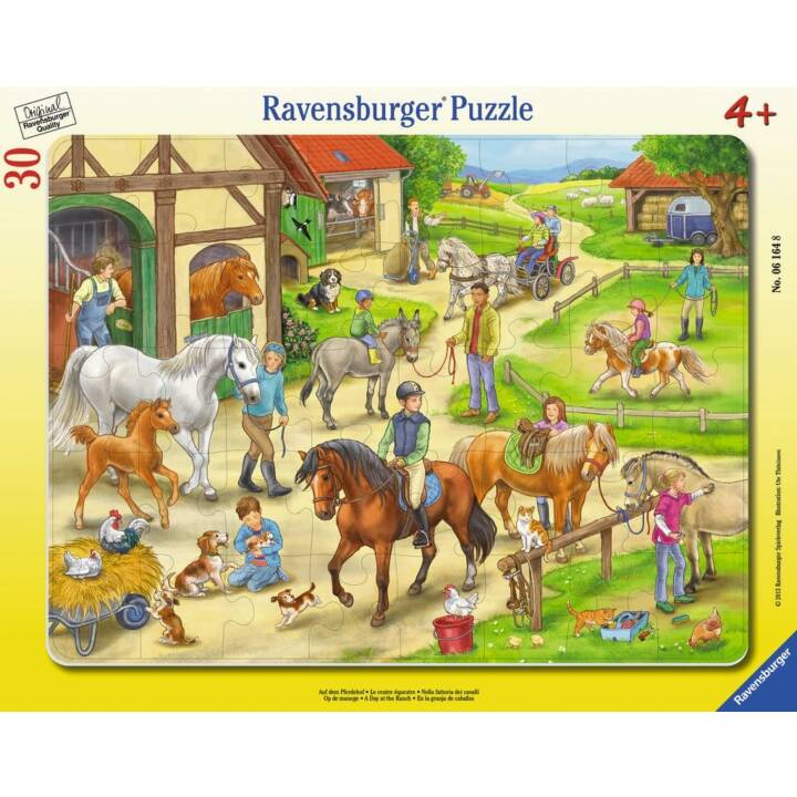 RAVENSBURGER Tiere Puzzle (40 Stück, Bauernhoftiere)