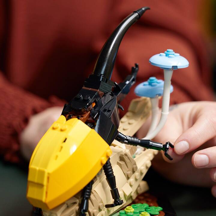 LEGO Ideas La collection d’insectes (21342, Difficile à trouver)
