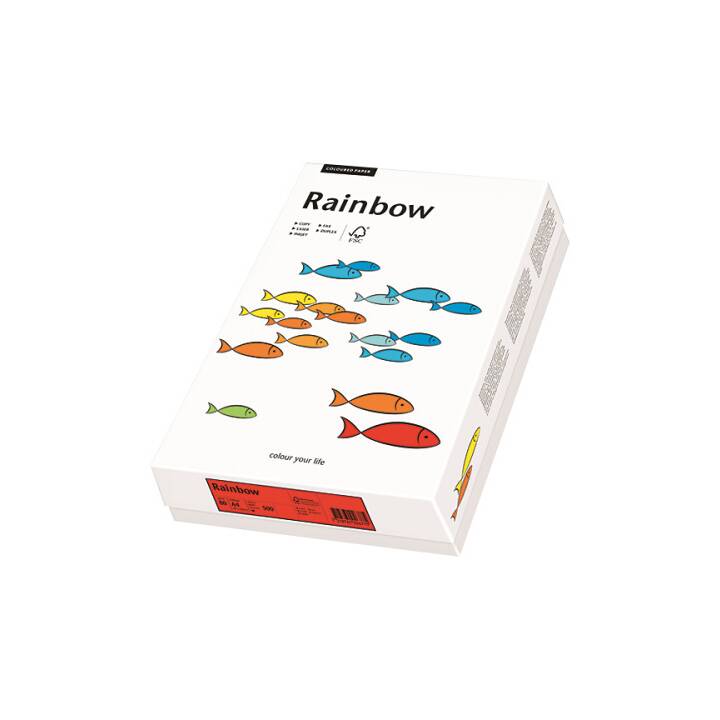 PAPYRUS Rainbow Papier Carta colorata (250 foglio, A3, 160 g/m2)