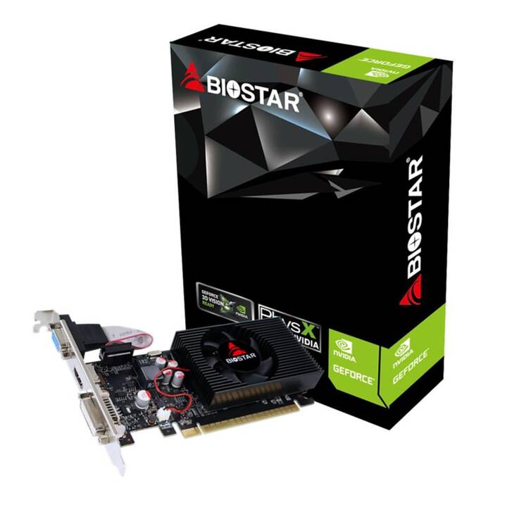BIOSTAR VN7313TH41 Nvidia GeForce GT 730 (4 GB)