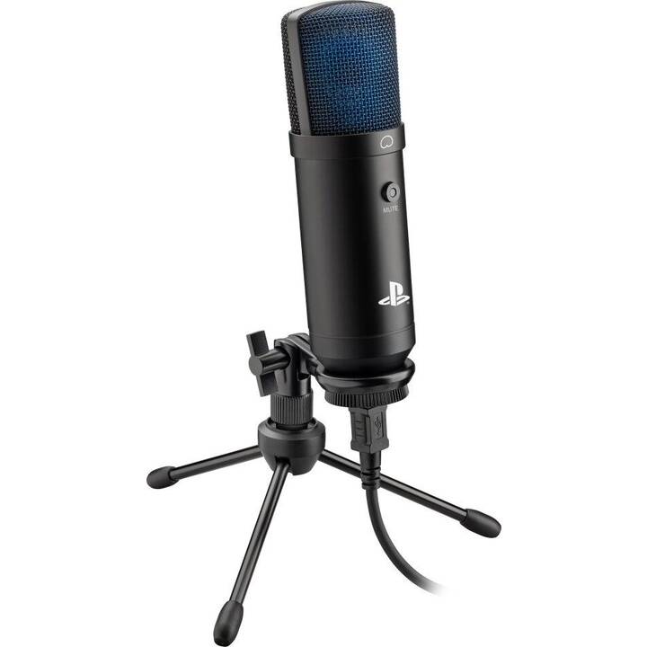 RIG M100HS Microphone studio (Noir)