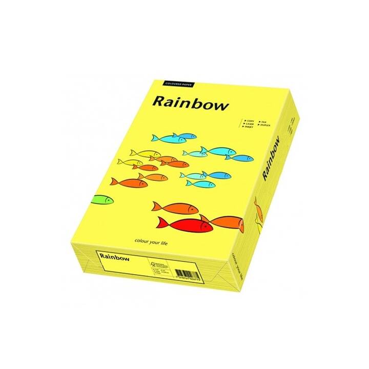PAPYRUS Rainbow Papier Farbiges Papier (250 Blatt, A3, 160 g/m2)