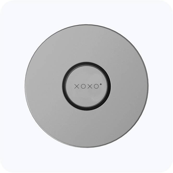 XOXO DESIGN Tischleuchte X8 (Silber)