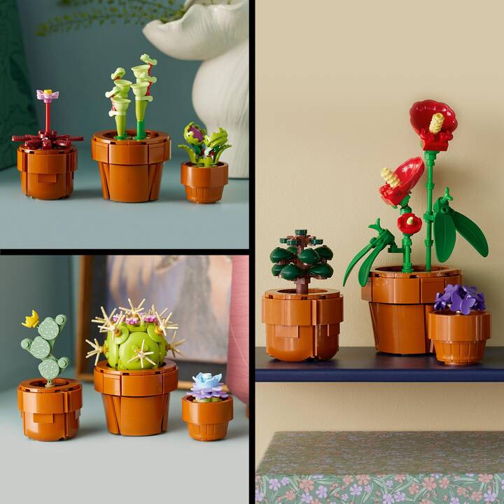 LEGO Icons Les plantes miniatures (10329) - Interdiscount