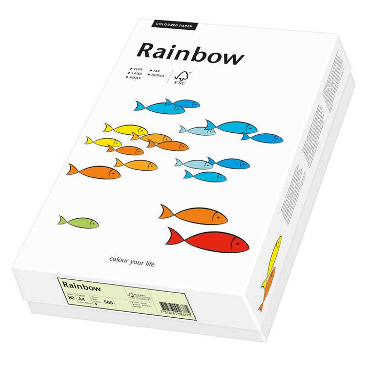PAPYRUS Rainbow Carta colorata (250 foglio, A4, 120 g/m2)