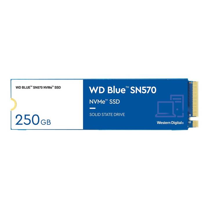 WESTERN DIGITAL SN570 (PCI Express, 250 GB)