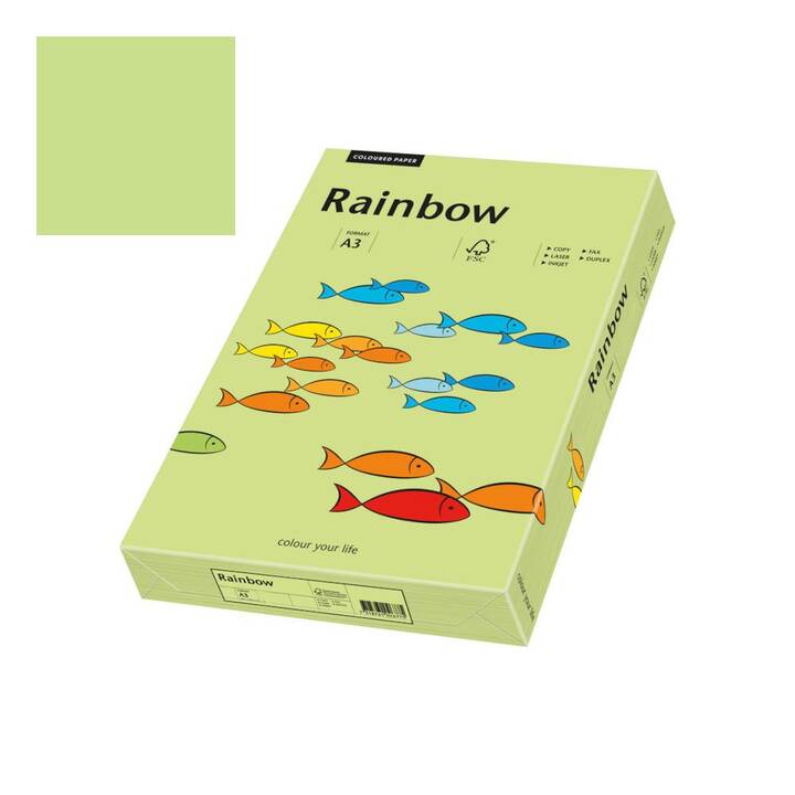 PAPYRUS Rainbow Papier couleur (250 feuille, A3, 160 g/m2)