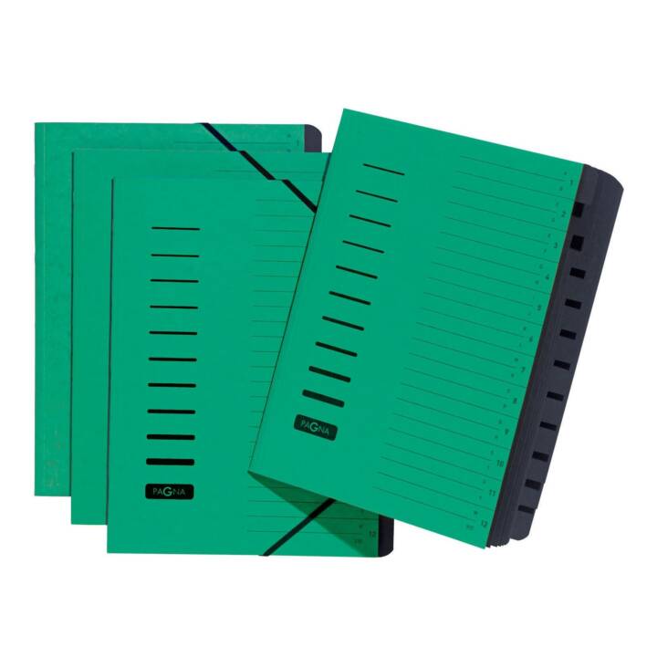 PAGNA Dossier d'organisation (Vert, Noir, A4, 1 pièce)