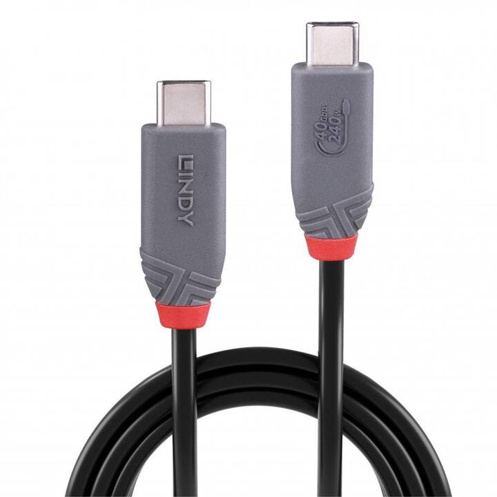 LINDY Câble (USB-C fiche, USB de type C, 2 m)