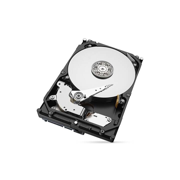 SEAGATE BarraCuda (SATA-III, 8000 GB)