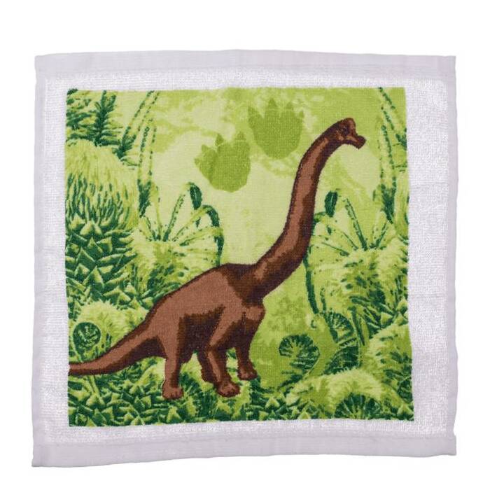 Growing Toy Magic Towel Dino