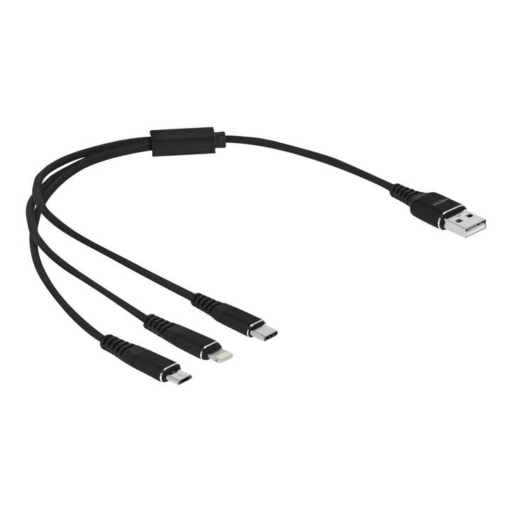DELOCK Kabel (USB 2.0 Typ-A, USB 2.0, 30 cm)