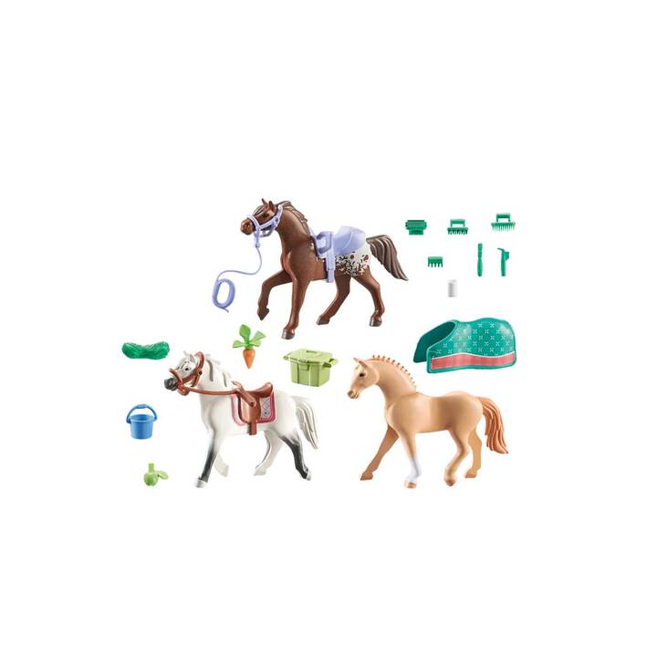PLAYMOBIL Horses of Waterfall 3 Chevaux : Morgan, Quarter Horse & Arabe Shagya (71356)