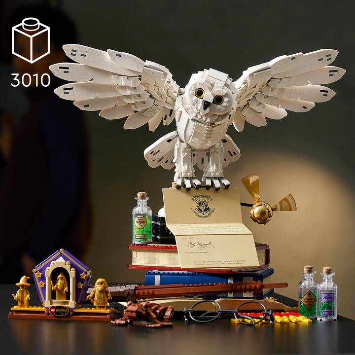 LEGO Harry Potter Hogwarts Ikonen – Sammler-Edition (76391, seltenes Set)