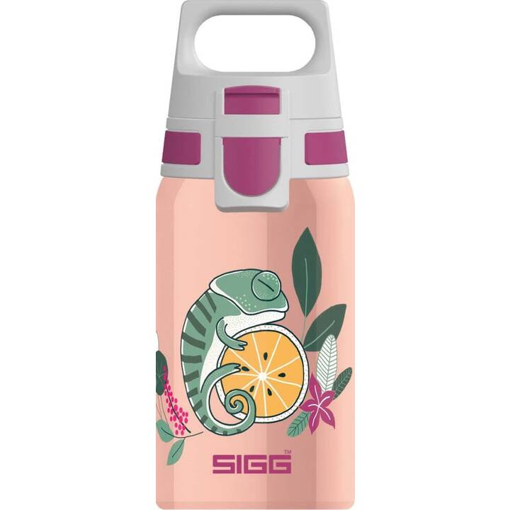 SIGG Bottiglia per bambini Shield ONE Flora (0.5 l, Verde, Color pesca, Porpora)