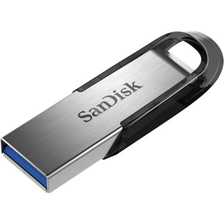 SANDISK (256 GB, USB 3.0 Typ-A)